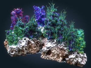 3D coral reef ecosystem