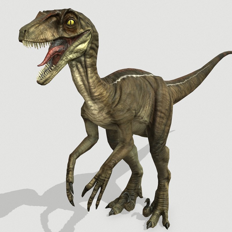 raptor dinosaur 3d