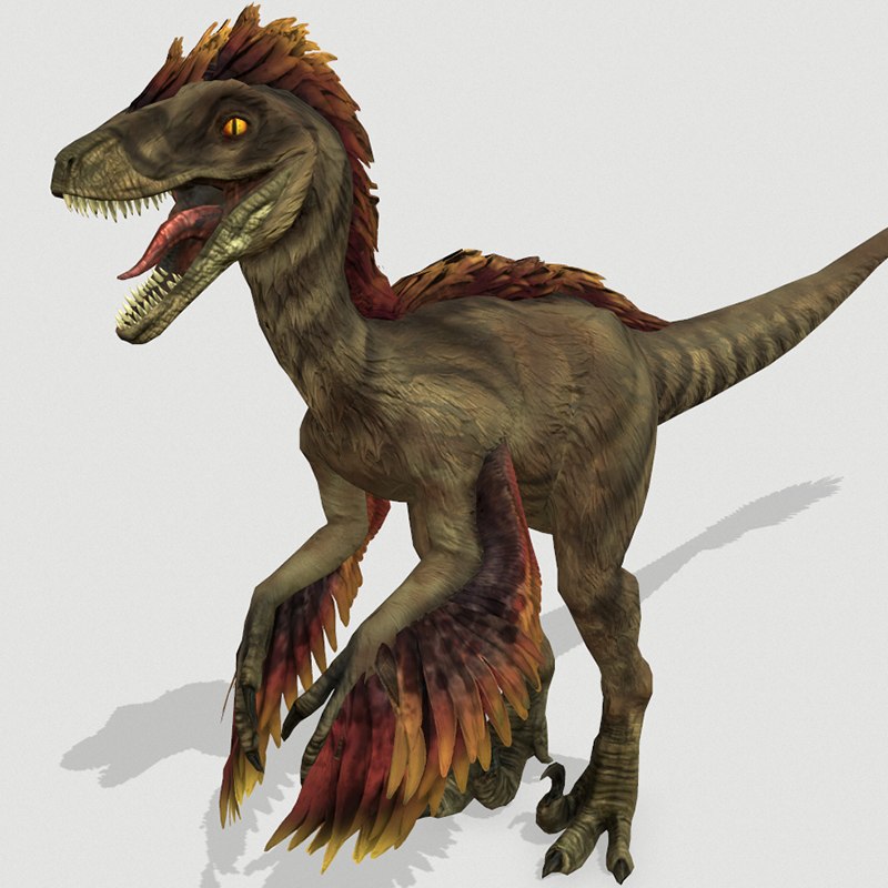 raptor dinosaur 3d