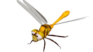dragonfly 3D model