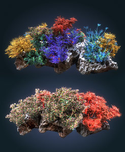 3D coral reef ecosystem pack 2