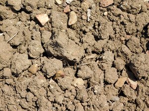 soil texture