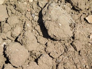 soil texture