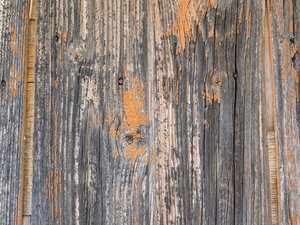 wood texture
