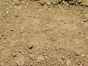 soil texture
