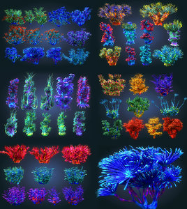 coral reef plants pack 3D model