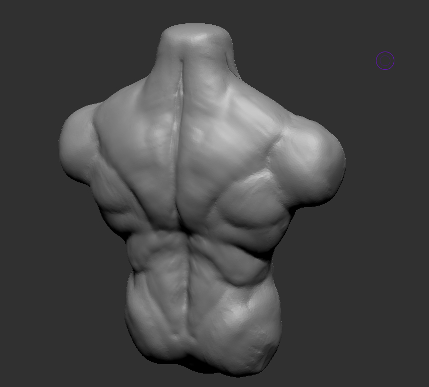 3D human torso model - TurboSquid 1367361