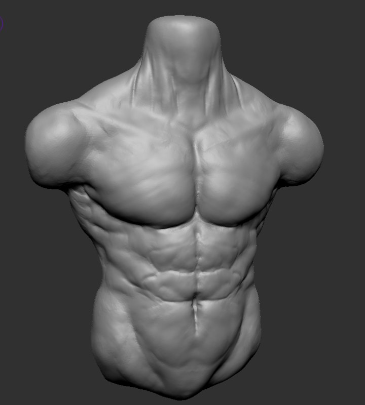 figure 2.7 human torso model