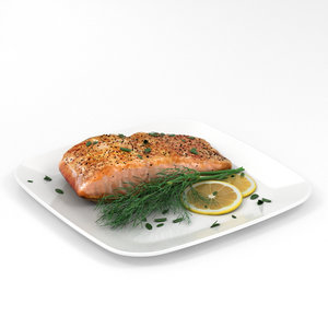 3D salmon fillet cook model