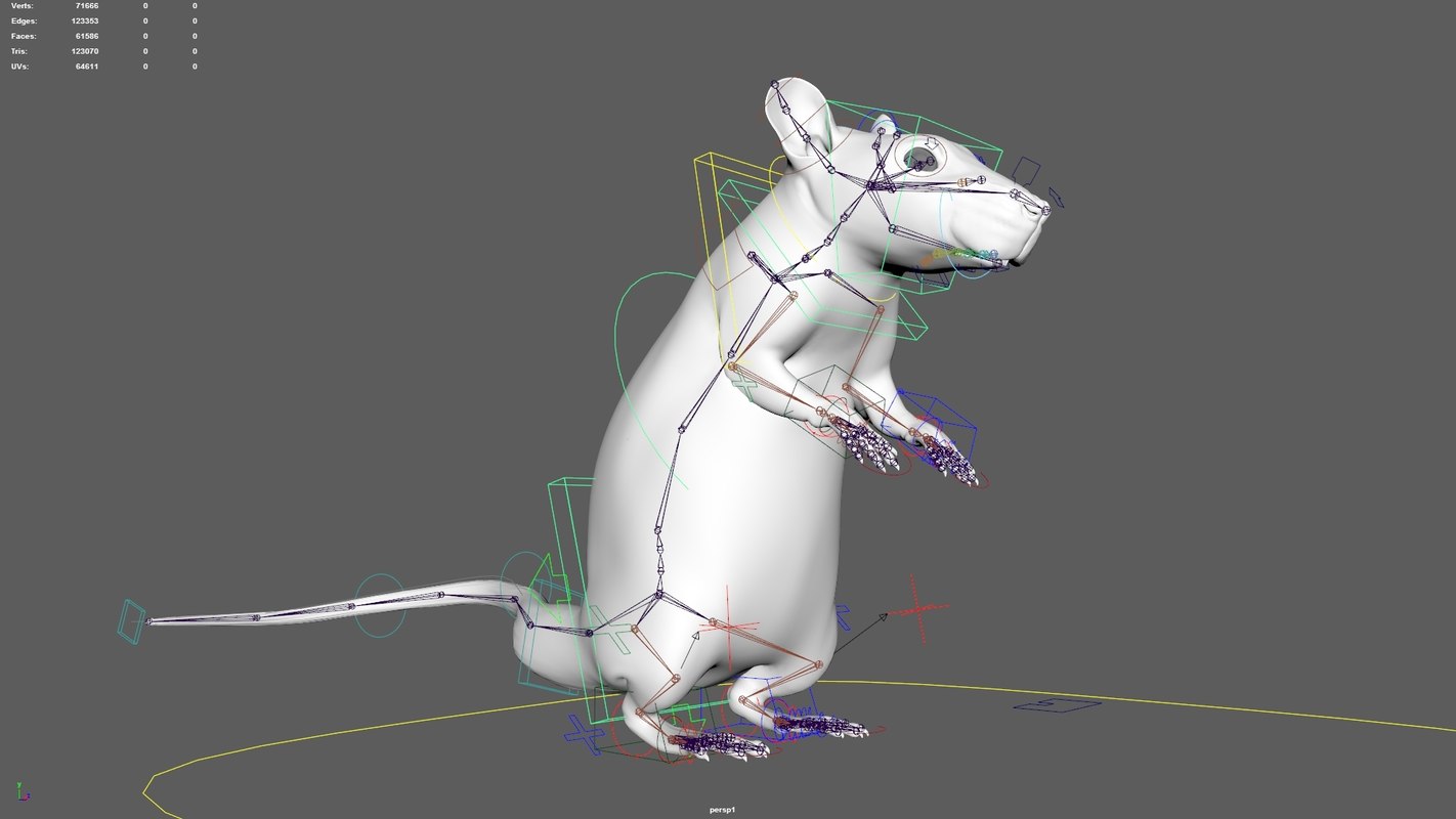 Rat rig 3D - TurboSquid 1368176