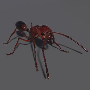 ant rig 3D model