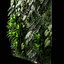 3D vertical garden 05 model