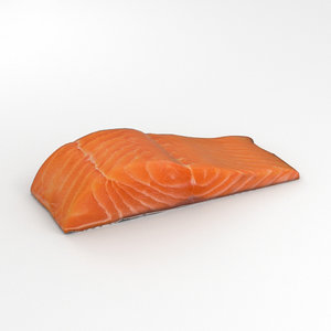 salmon fillet 3D model