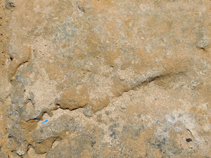 stone texture