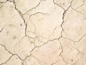 dry land texture