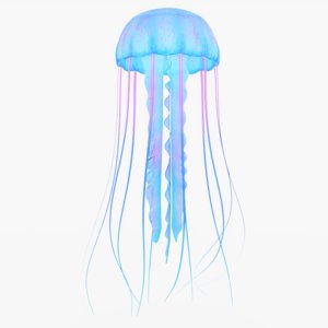3D jellyfish jelly fish