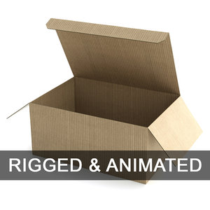3D rigged cardboard boxe 130x285cm