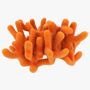 3D realistic orange tree sponge model