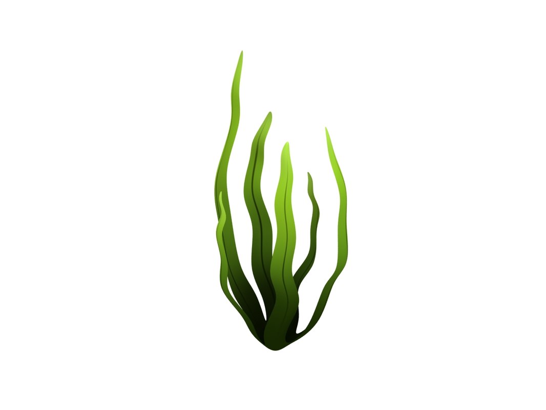 Seaweed Animation : Seaweed Clipart - Cliparts.co