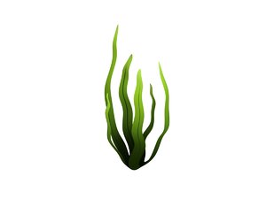 3D model seaweed cartoon