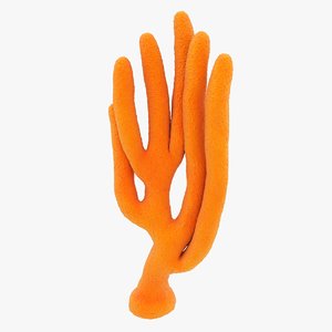 3D realistic orange tree sponge