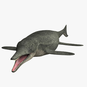 3D dinosaurs mammal dino model