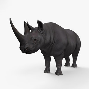 rhinoceros black model