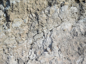 stone texture