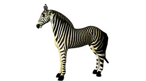 3D rigged zebra animations