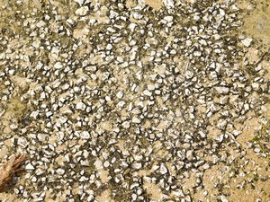 stone texture