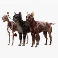 Animals 3d models