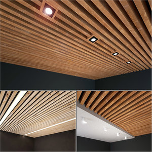 3D wooden wood ceiling model