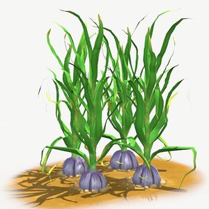 3dsmax garlic planting
