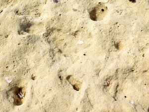 stone texture