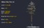 winter pine tree pack 3D model
