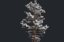 winter pine tree pack 3D model