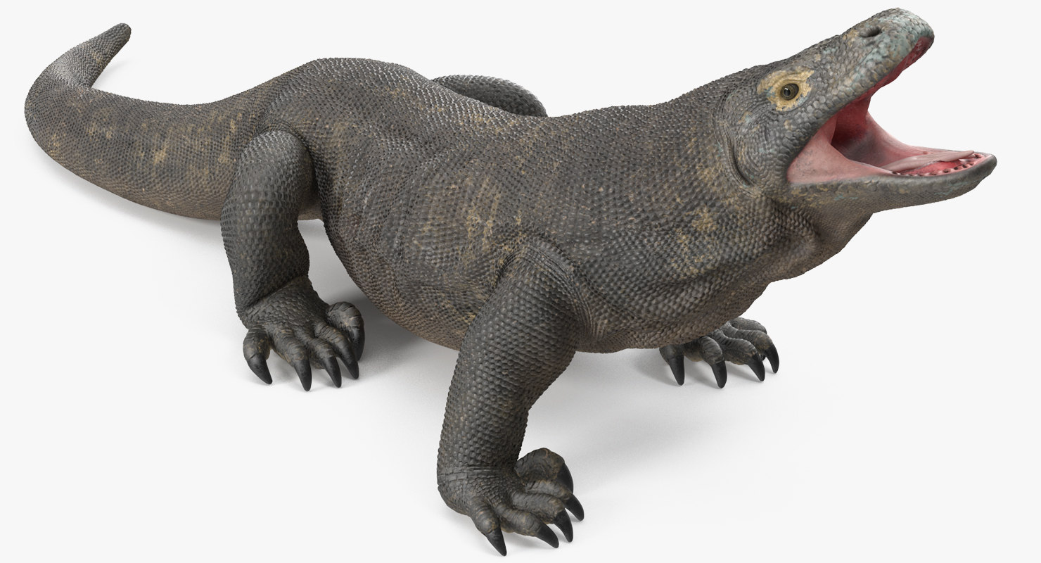 Komodo dragon standing pose 3D model - TurboSquid 1371726