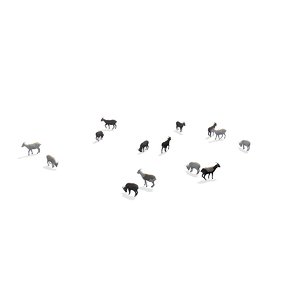 group herd goats walking 3D model