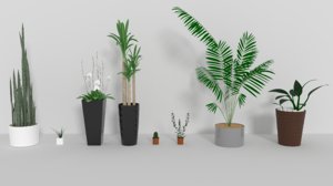 indoor plants 3D model