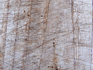 wood texture