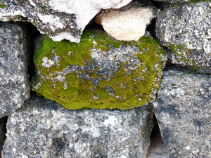 stone texture
