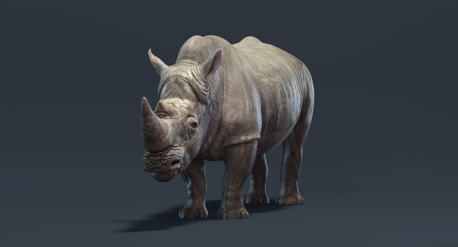 Rhino family 3D TurboSquid 1372518