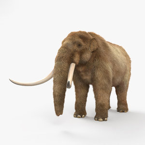 3D mastodon animal model