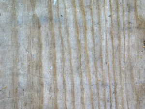 wood texture