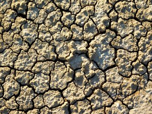 dry land texture