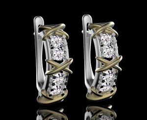 ring earrings 3D