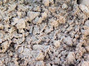 earth texture
