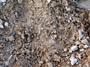 earth texture