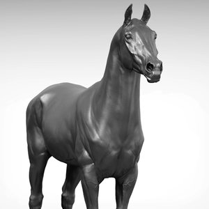 sport horse v2 3D model
