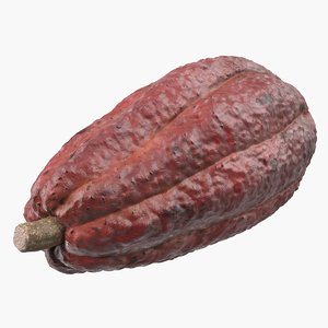 3D brown cocoa fruit